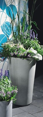 Stilvoll bepflanzte Töpfe werden in Gärtnereien schnell zum Verkaufsrenner