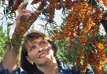 1 Christine Berger: Unternehmerin des Jahres 2007/2008 des Landes Brandenburg