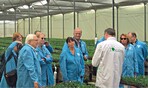 Mitglieder des Bundestagsausschusses bei der Besichtigung der Produktion von Stecklingen im Mutterpflanzenbetrieb der Firma Silze in Kenia