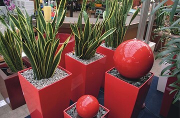 Moderne Farben und Formen beleben das etwas angestaubte Image der Hydrokultur