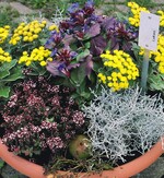 Auszubildender Lukas hat diese Pflanzschale gestaltet