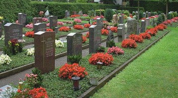 Einheitlich gepflegte Grber mit Dauergrabpflegevertrag auf dem Hauptfriedhof in Karlsruhe 