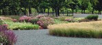 Gartenschau als Trendsetter: Gräserpflanzung auf der BUGA in Schwerin 2009