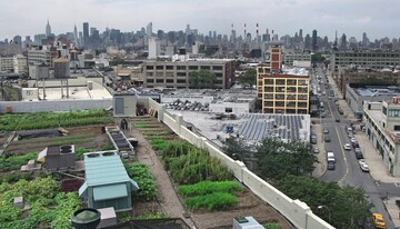 Nahrungsmittel nur ein paar Stockwerke entfernt vom Stadtleben mit der New Yorker Skyline im Hintergrund