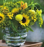 Werner Detmering sieht Chancen im Regionalmarketing für Zierpflanzen: „Man muss eine Geschichte zu dem Produkt anbieten“