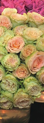 Mit verantwortlich erzeugten Schnittblumen (hier Rosen von FLP) kann ein Unternehmen deutlich machen, dass ihm Werte wichtig sind