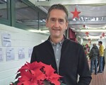 Dr. Dirk Ludolph: „Kühle Kultur von Poinsettien ist nur für einige Sorten zu empfehlen“