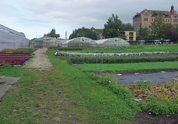 1 Ein Teil der Auenanlage der Klostergrtnerei Baldegg mit der Bodendecker-Produktion. Rechts im Hintergrund das Kloster, in dem eine Gemeinschaft von Franziskanerinnen lebt, die unter anderem eine Herberge betreiben 