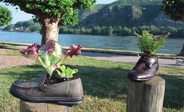 Gemse in Schuhen: Diese knstlerische Idee zeigt, dass auch mit Nutzpflanzen witzig gestaltet werden kann!