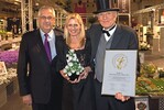 1 Campanula „KronprinzessinGlockenblume“, Award-Gewinnerin aus Dänemark
