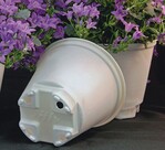 Die Töpfe der „Carbon Lite“-Serie von Jiffy „Vinçotte OK Biobased“-zertifiziert