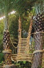 1 Mit Großpflanzen wurdenin den Ausstellungshallen ganze Landschaften geschaffen