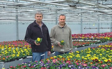 1 Thomas Ebbing-Lohaus (links) und Gnter Kemper, der fr die Jungpflanzenproduktion und Kundenberatung zustndig ist