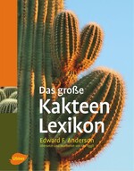 Kakteen in umfassendem Werk