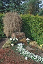 1 Zweistelliges Wahlgrab mit Winterschäden, das Bild entstand Anfang März 2011.