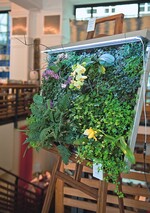 1 Gute Idee: Am Haupteingang von Kokon wurde ein Pflanzenbild auf einer Staffelei präsentiert.