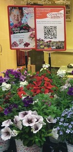 1 Mit dem Mobiltelefon geht es direkt zu den Produktinformationen von Dümmen.