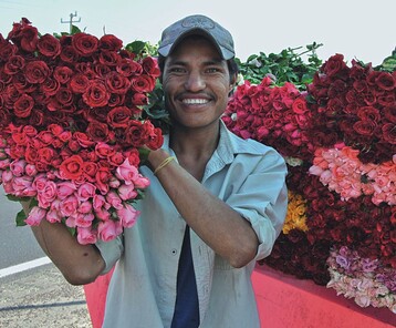 In Mexiko werden 90 Prozent der produzierten Pflanzen auf lokalen Mrkten verkauft.