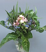 1 Woche 15: Die Blumen sind zwar eher kurzstielig, aber lassen sich ohne Verfrühung im Freiland ernten.