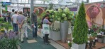 Die Plantarium in niederländischen Boskoop bietet auf überschaubarer Fläche – in einem Tag gut zu bewältigen – eine Fülle an Gehölzen und Stauden. Zunehmend haben die Aussteller auch Präsentationsideen für ihre Produkte im Gepäck.