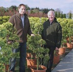 Michael und Helmut Peters produzieren sowohl Bodendecker als auch Solitärgehölze.