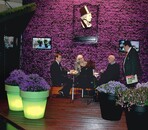 Die Dänen präsentieren sich in der kompletten Halle 5 mit einem umfangreichen Topfpflanzenangebot.