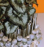 12 Eine große Beteiligung verzeichnete der Internationale Wettbewerb „Gefäßbepflanzung“, hier die beste Azubi-Arbeit „Deko-Topfpflanze“ von Oxana Kalkroyter, Detmold.