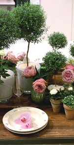 1 Arrangements an Messeständen wie diese machen die IPM zu einem Ideengeber in Sachen Gestaltung. Nicht selten tauchte die Verbindung zwischen Blumen und Essen auf – Genießen mit allen Sinnen ist ein Trendthema.