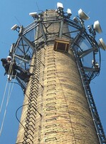 Falken gegen Krähen