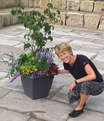 Beate ter Hell hat diesen Topfgarten mit Cornus zusammengestellt.