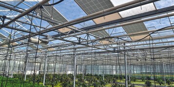 Im Gartenbaubetrieb Arzt wurden testweise ber der Kulturflche eines Gewchshauses rund 20 % der nach Sden gerichteten Dachflche mit PhotovoltaikModulen ausgestattet, was bei den Kulturen keine Qualittsverluste verursachte.