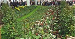 In der Blumenhalle zauberten 40 000 blühende und duftende Blumen Frühlingsatmosphäre.