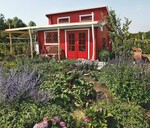 2 Kleingärten: Die Besucher können durch die Anlagen schlendern, einen Blick über den Zaun werfen und mit den Pächtern am Gartentor klönen