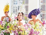 Die „Orchideen-Hut-Kollektion” umfasst drei Modelle und wurde für den „Tag der Orchidee“ entworfen. Die Hüte können über das Atelier von Philip Treacy bestellt werden.