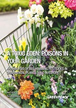 Bienengefährliche Wirkstoffe an vielen Zierpflanzen nachgewiesen