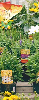 Einfach blühende Stauden und Sommerblumen, aber auch Gehölze gehören zum EPS-Konzept „Bienen fürs Leben“.