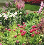 1 Stimmige Gartenlandschaften.