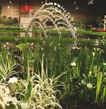 2 Die Teichrandbepflanzung gehörte zu den besonderen Leistungen.