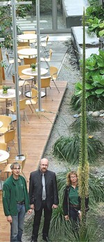 Fünf-Meter-Blüte in der LBS