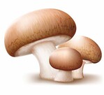 Schulaktion für nachhaltigen Anbau