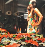 3 ... prägten den Charakter der Modenschau.