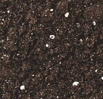 Mit Füßen getreten