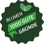 Impulse zum Jahresanfang