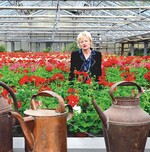 Die Gärtnerei Schullian in Bozen