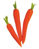 Das Gärtnern in der Stadt