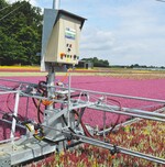 Marktimpulse aus Lüllingen