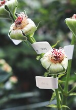 Forschungsgelder nutzen