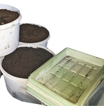 Normen ersetzen Ehrlichkeit nicht