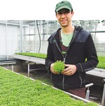 Wildkräuter und innovative Energie