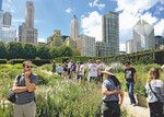 Gärten in der Großstadt: Im Rahmen einer Stadtrundfahrt bewunderten die Fleuroselect-Mitglieder die jüngsten Gestaltungen im Millennium Park, die außergewöhnlichen Staudenpflanzungen des Lurie Gartens (Bild) und ein Urban-Gardening-Projekt im Grant Park. Auch den Bepflanzungen entlang der Michigan Avenue zollten die Gäste ihre Bewunderung.